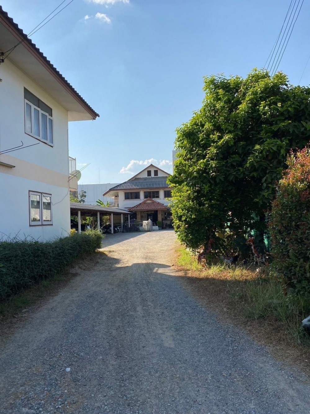  พื้นที่ค้าปลีก สำหรับขาย ใน ท่าศาลา, เมืองเชียงใหม่, เชียงใหม่ - Image 2