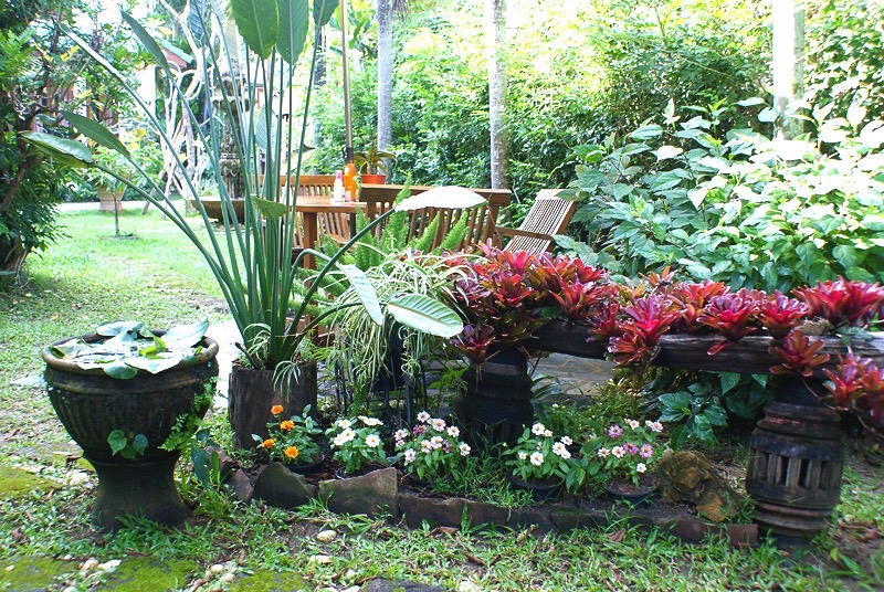  土地  在  - Image 20