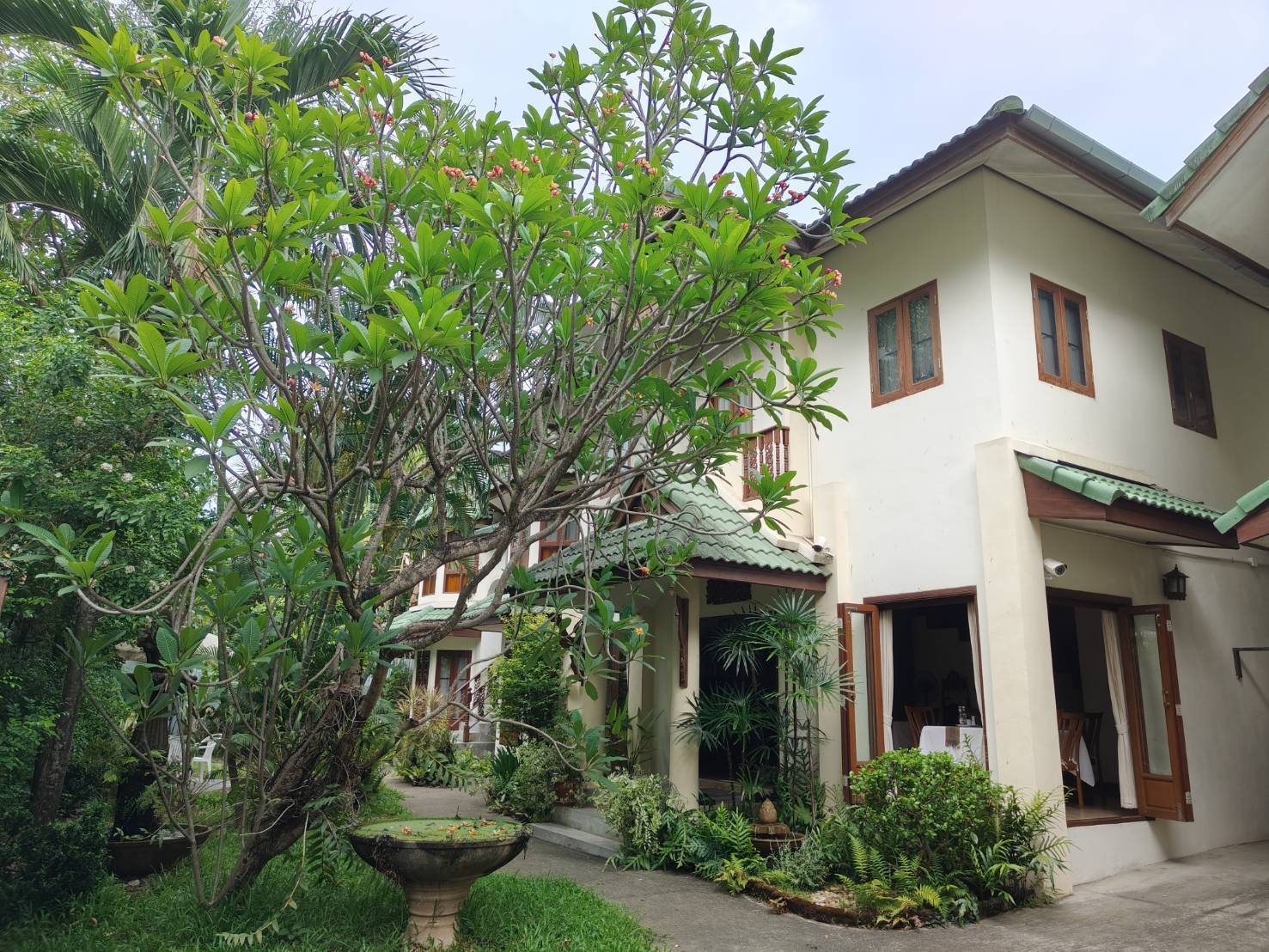  土地  在  - Image 13