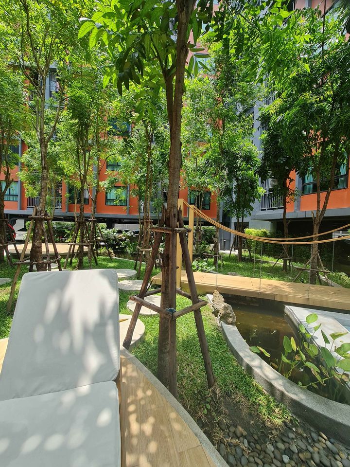 Monté Rama 9 - Image 8