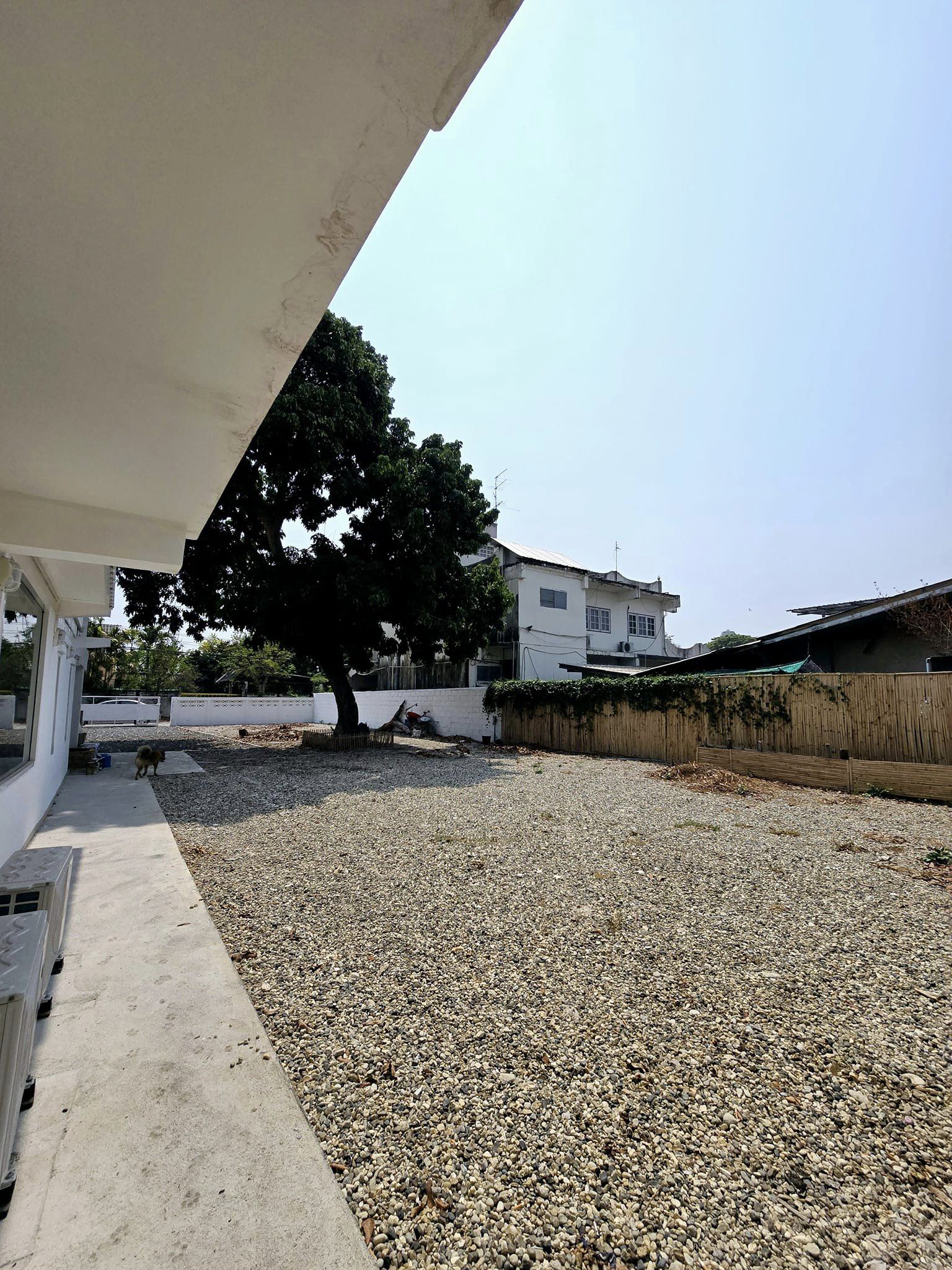 9 ห้องนอน บ้านเดี่ยว สำหรับเช่า ใน หนองแจง, บึงสามพัน, เพชรบูรณ์ - Image 13