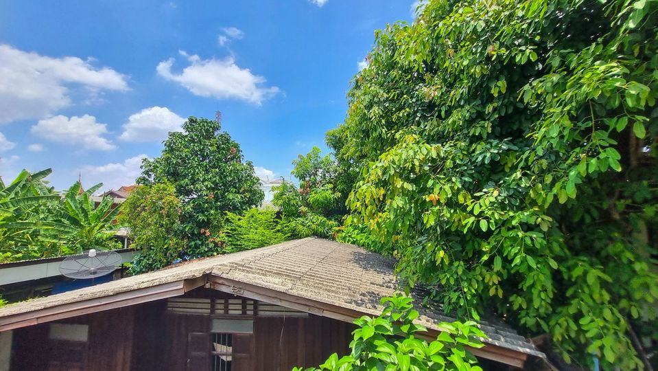 6 Bedroom House  in Chang Khlan, Mueang Chiang Mai, Chiang Mai - Image 26