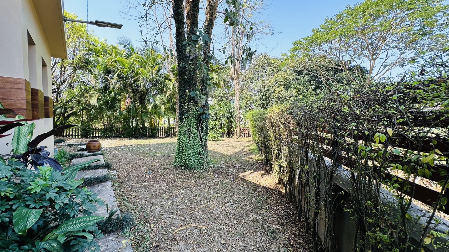 5 Bedroom House For Sale in San Phisuea, Mueang Chiang Mai, Chiang Mai - Image 6