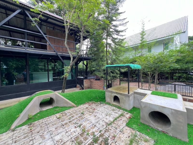7 Bedroom House For Sale in Tha Sala, Mueang Chiang Mai, Chiang Mai - Image 12