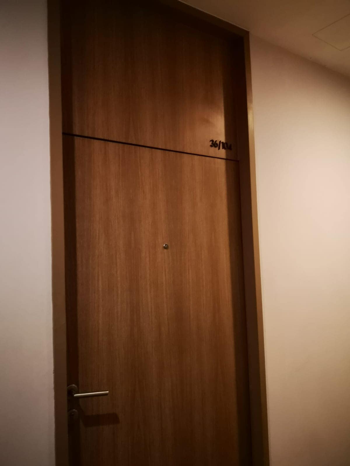 Noble Reveal - Image 6