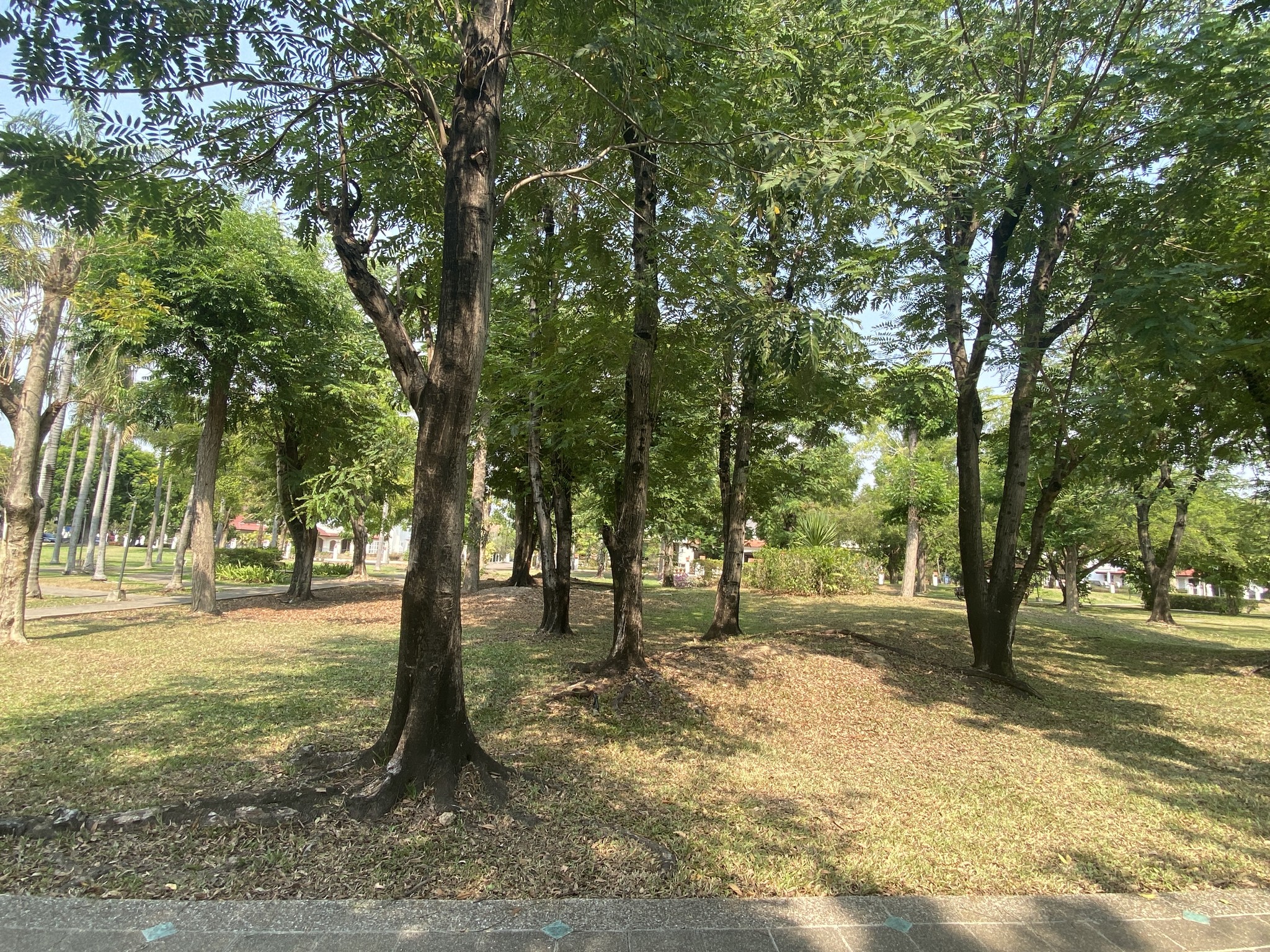 Palm Spring Place - Image 18
