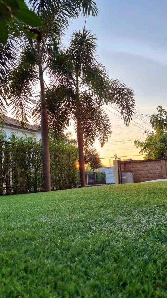 3 Bedroom House For Rent in Bang Phli Yai, Bang Phli, Samut Prakan - Image 16
