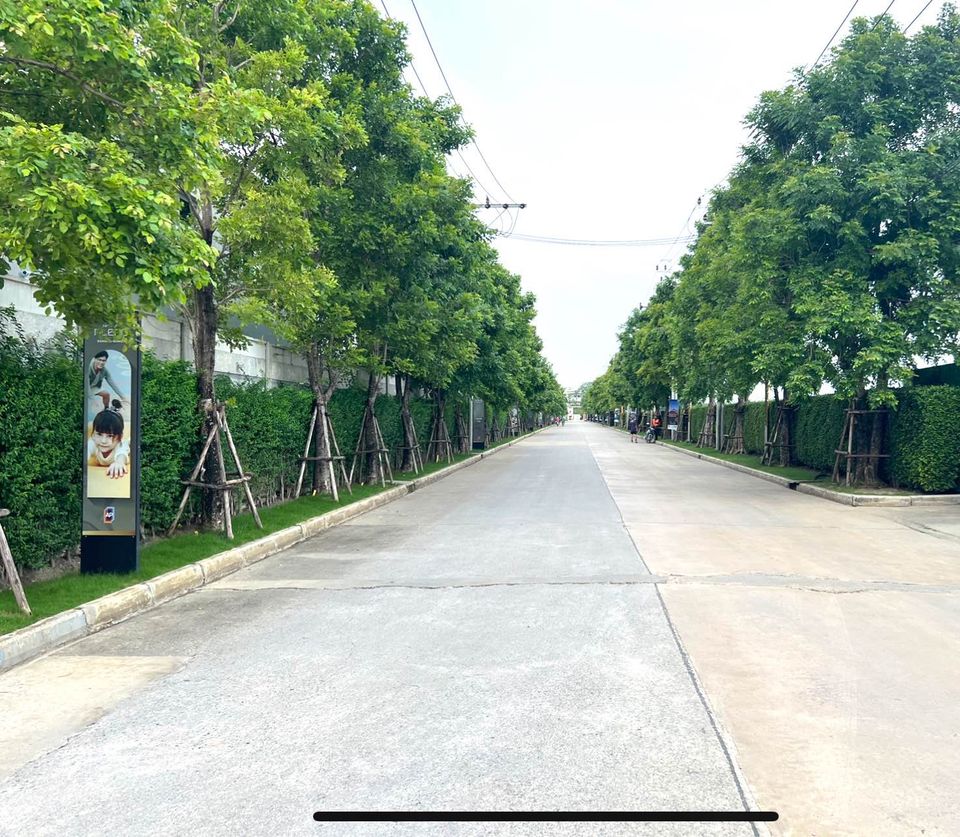 Pleno Bangna-On Nut - Image 4