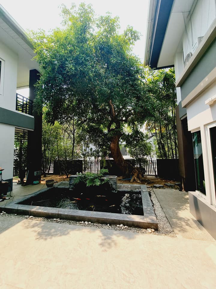 5 Bedroom House  in Nong Phueng, Saraphi, Chiang Mai - Image 15