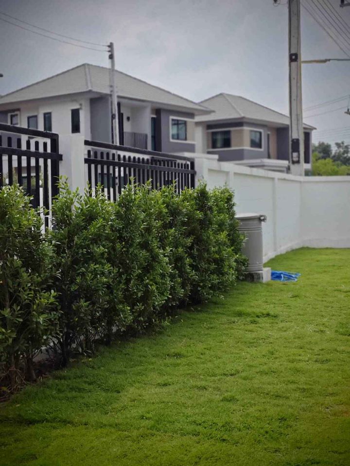 3 Bedroom House  in San Kamphaeng, San Kamphaeng, Chiang Mai - Image 22