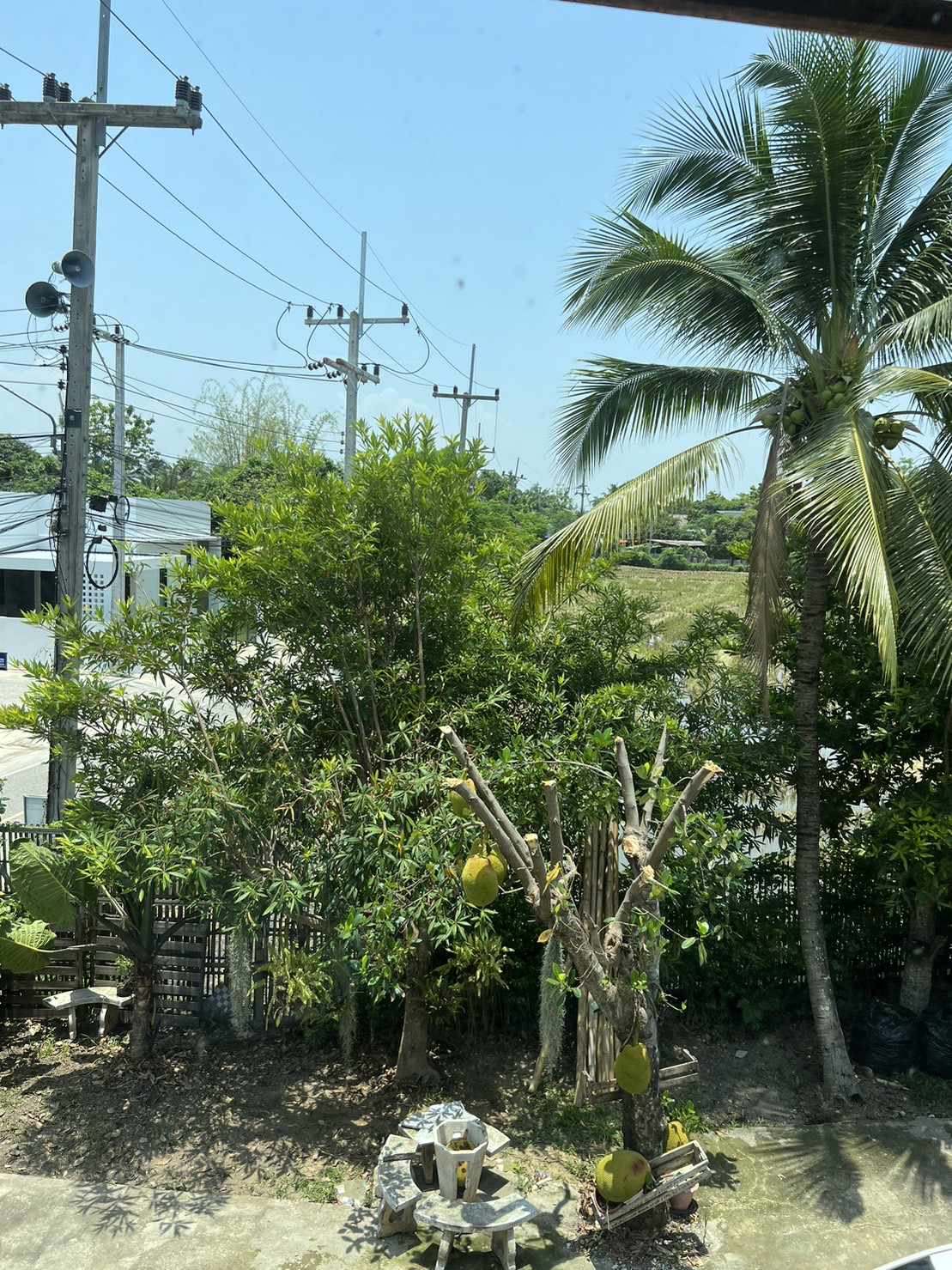 3 Bedroom House For Sale in Mueang Len, San Sai, Chiang Mai - Image 9