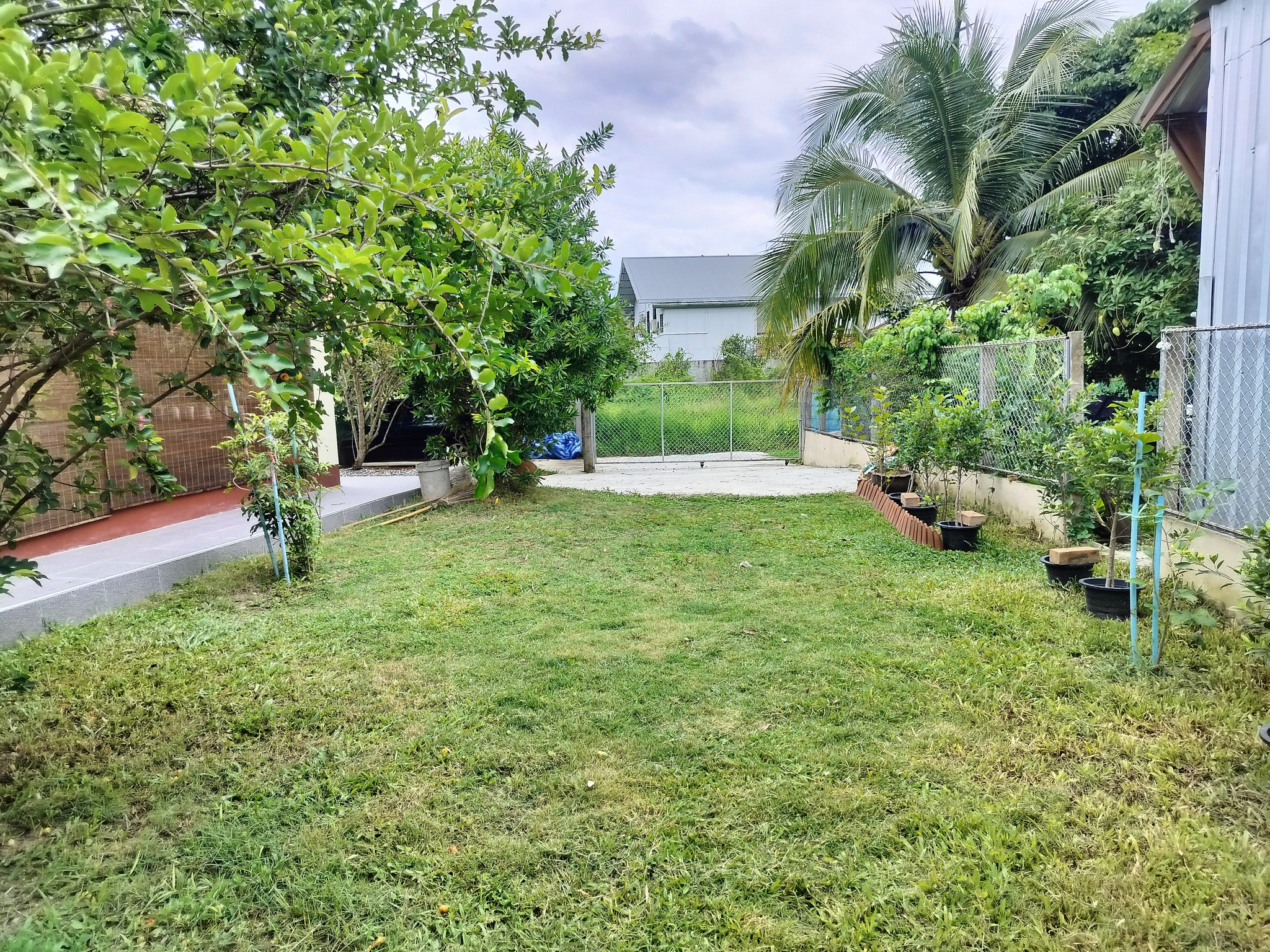 3 Bedroom House For Sale in San Sai Luang, San Sai, Chiang Mai - Image 13