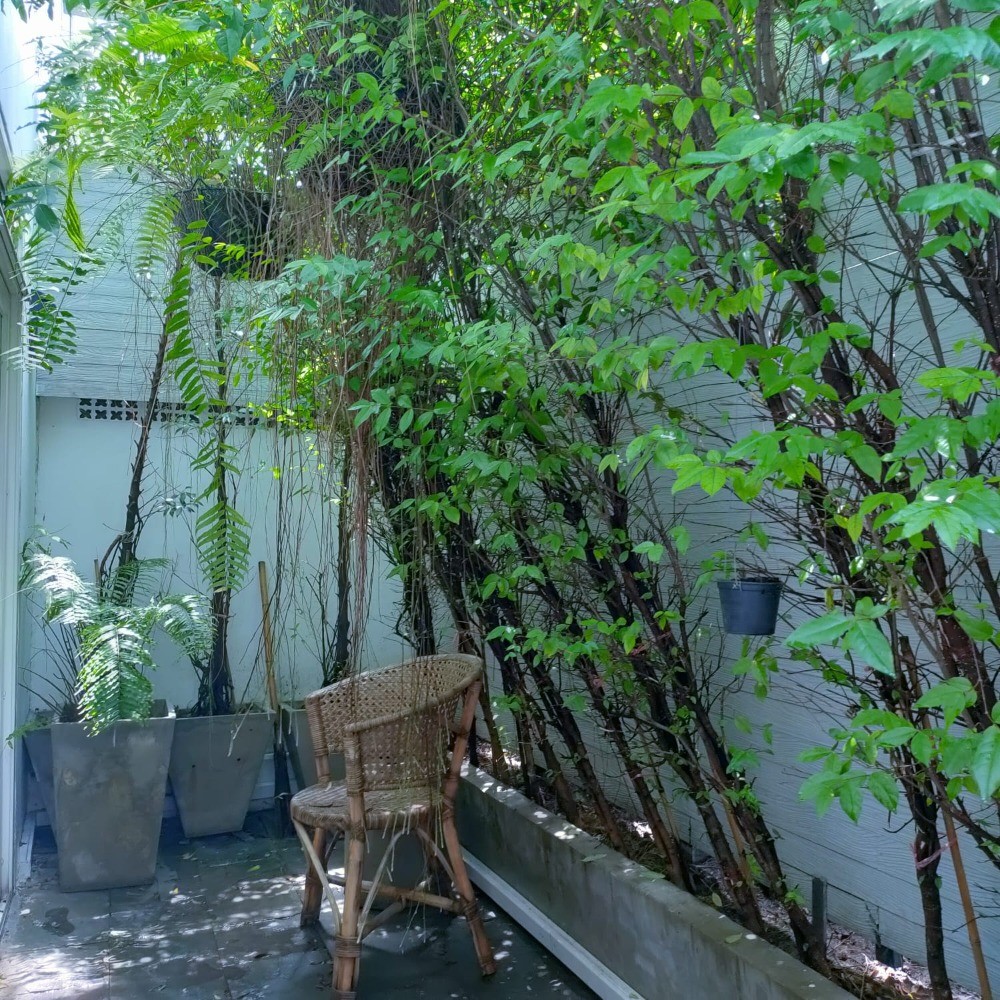 4 Bedroom Townhouse For Sale in Phra Khanong Nuea, Vadhana, Bangkok - Image 11