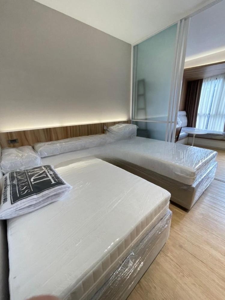 TRIPLE Y RESIDENCE - Image 2