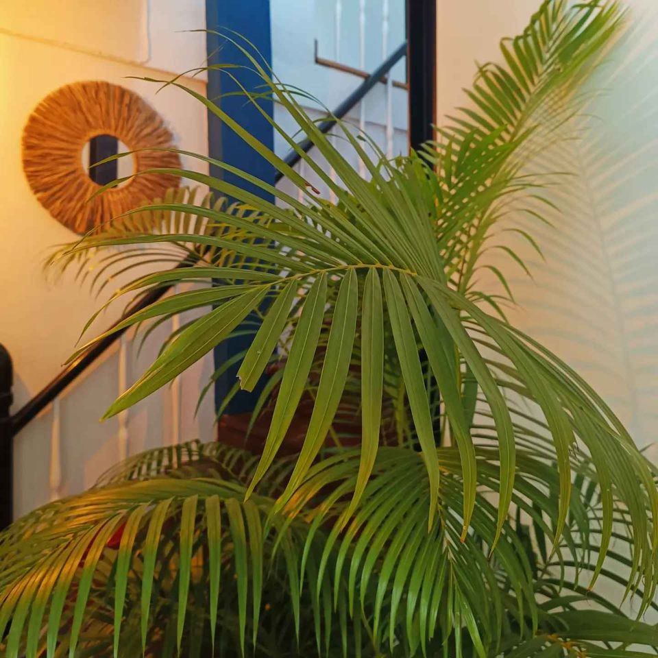 3 Bedroom House For Rent in Pathum Wan, Pathum Wan, Bangkok - Image 5