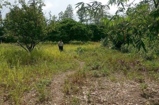  Land For Sale in Nam Phrae, Hang Dong, Chiang Mai - Image 3
