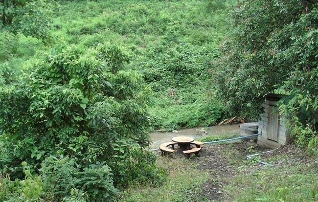  ที่ดิน สำหรับขาย ใน ในเมือง, เมืองลำพูน, ลำพูน - Image 6