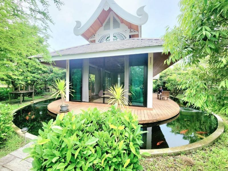 5 Bedroom House For Rent in Pa Daet, Mueang Chiang Mai, Chiang Mai - Image 14