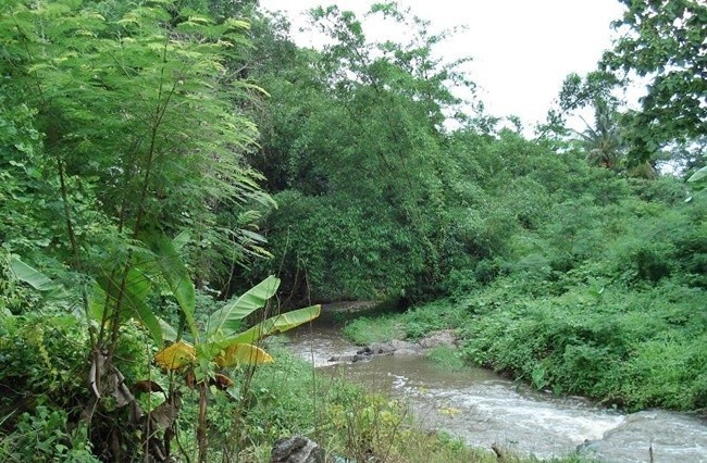  ที่ดิน สำหรับขาย ใน ในเมือง, เมืองลำพูน, ลำพูน - Image 5