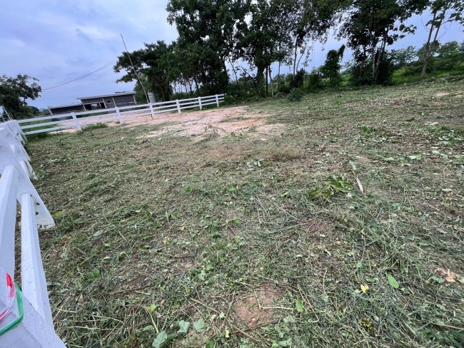  Land For Sale in Tha Sala, Mueang Chiang Mai, Chiang Mai - Image 6