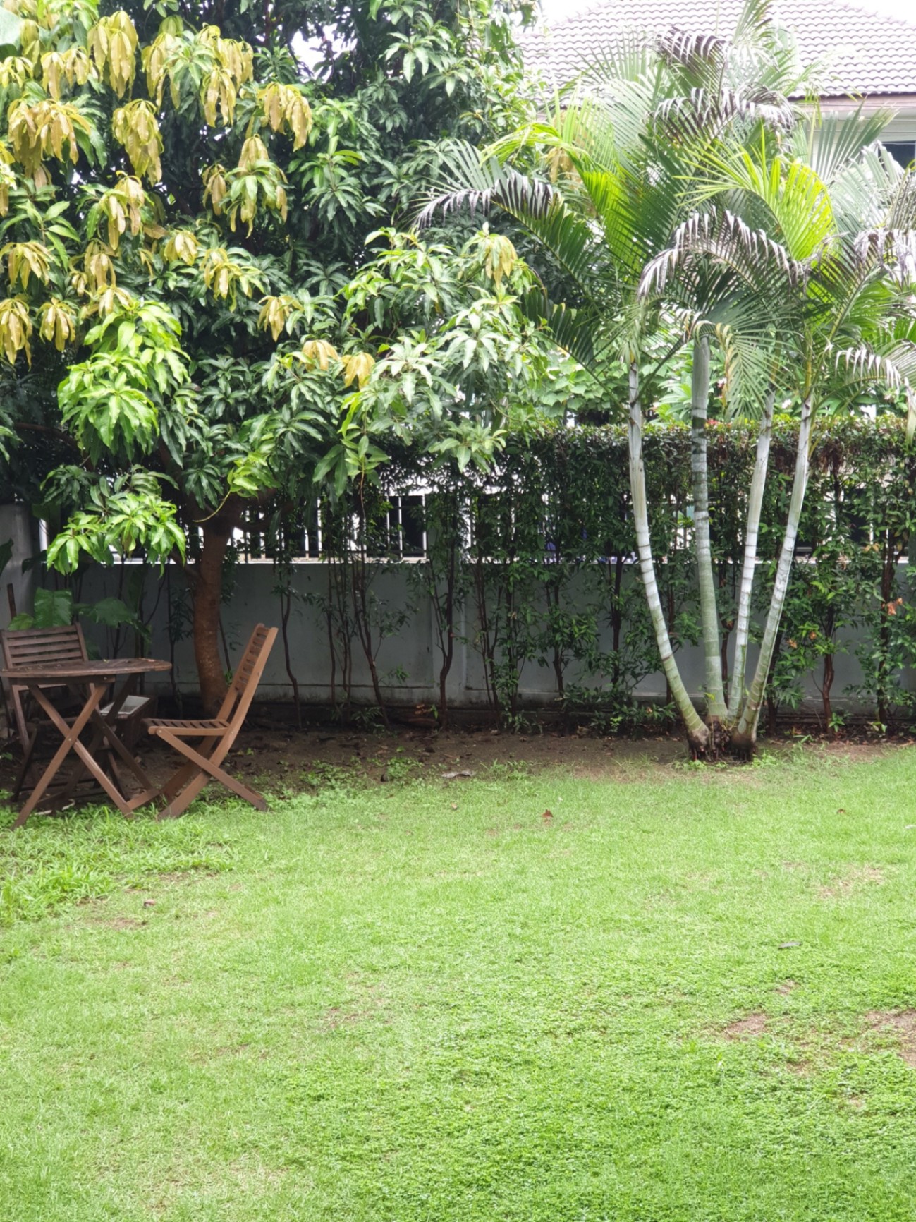 Pingdoi Lakeville - Image 10