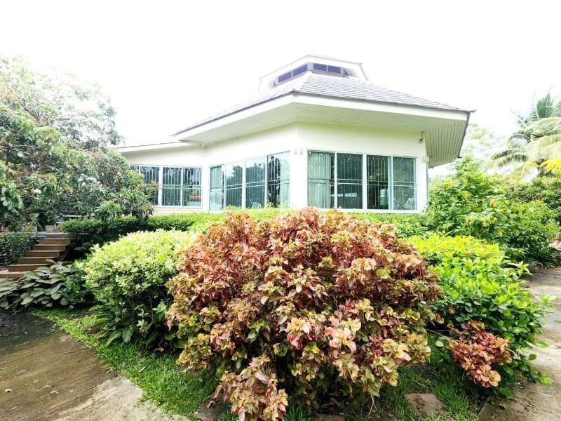 5 Bedroom House For Rent in Pa Daet, Mueang Chiang Mai, Chiang Mai - Image 17
