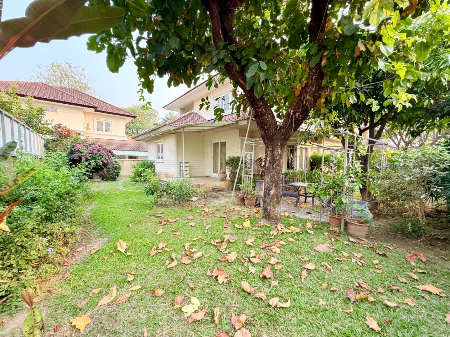 Home in Park - Image 48