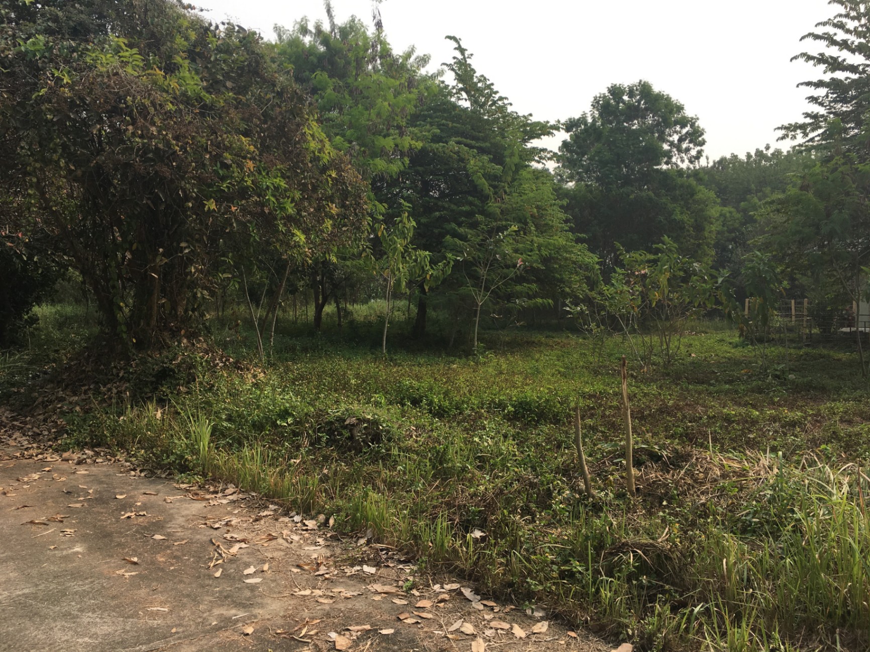  Land For Sale in Hang Dong, Hang Dong, Chiang Mai - Image 3