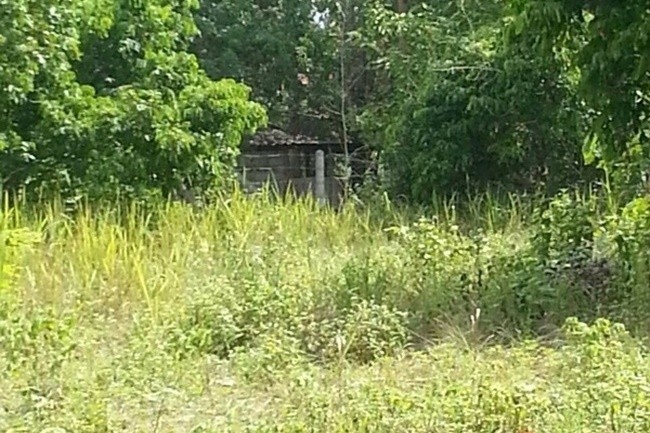  Land For Sale in Nam Phrae, Hang Dong, Chiang Mai - Image 1