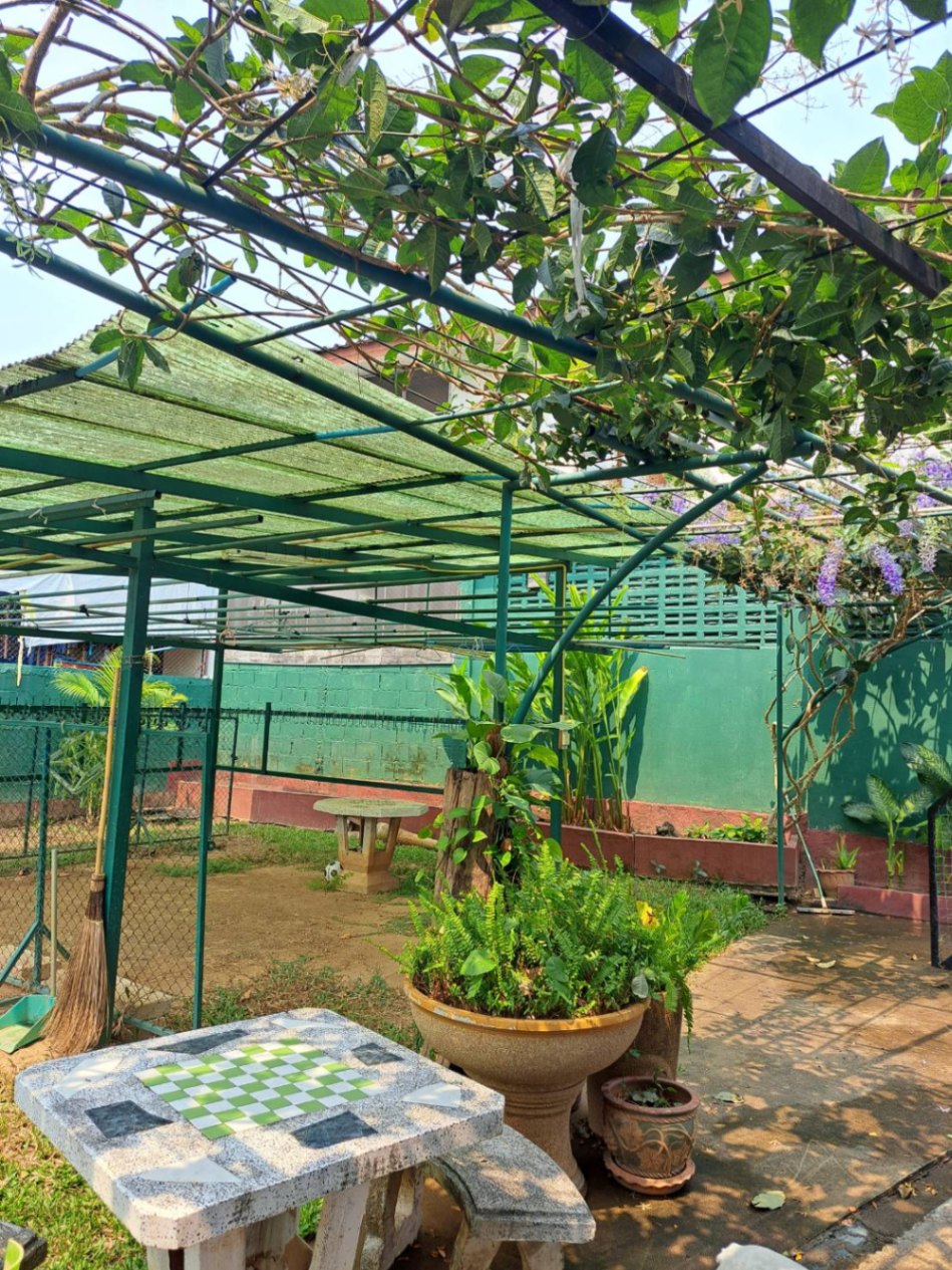 3 Bedroom House For Rent in Pa Tan, Mueang Chiang Mai, Chiang Mai - Image 10