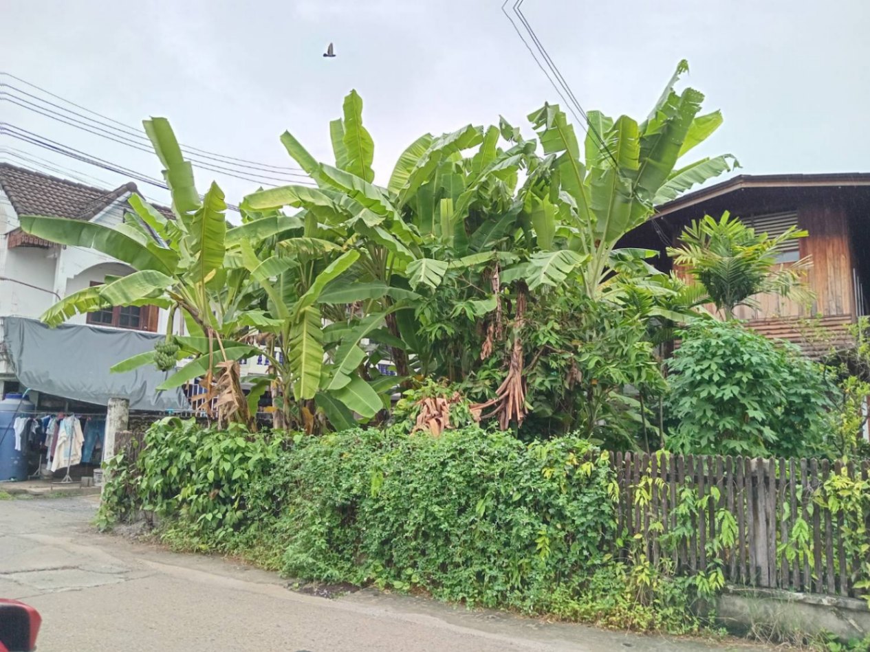 6 Bedroom House For Sale in Phra Sing, Mueang Chiang Mai, Chiang Mai - Image 12