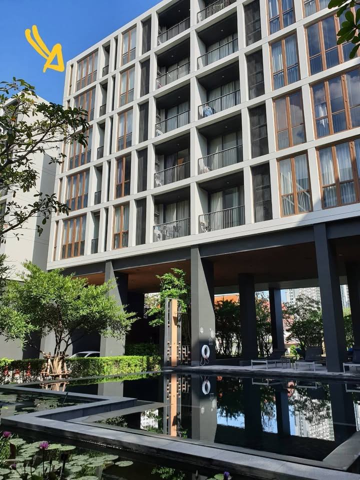 Hasu Haus - Image 6