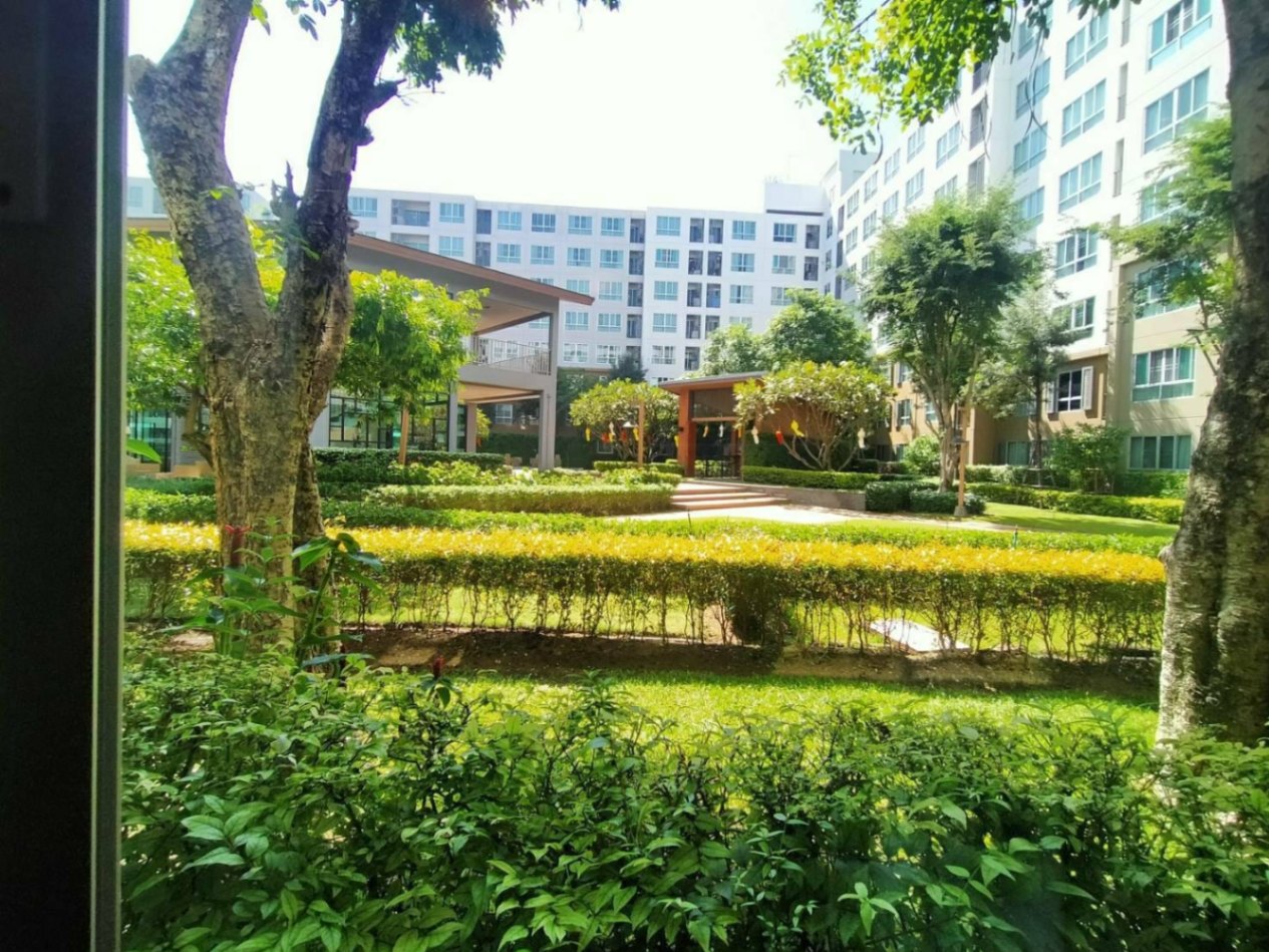 DCondo Nim - Image 7