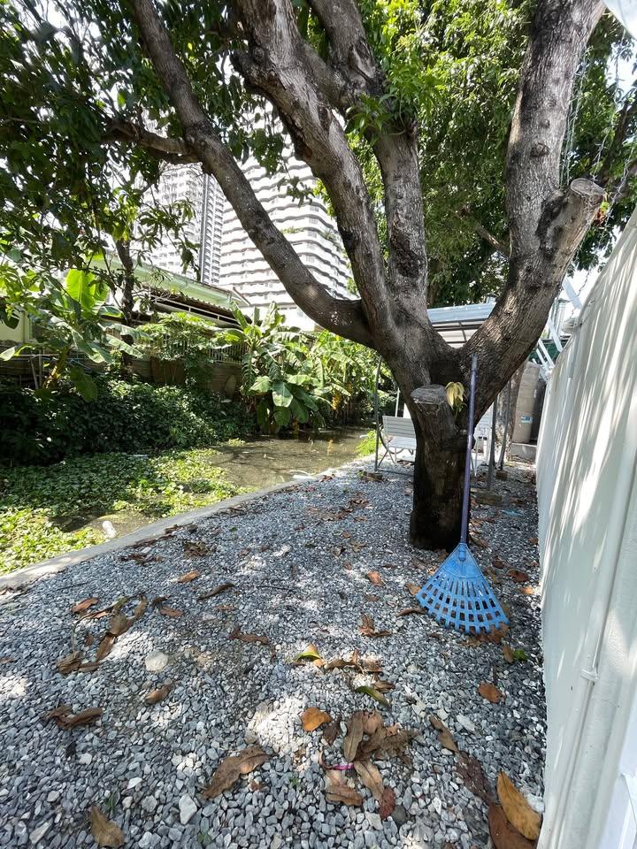 Mueang Thong 2 Phase 3 Village - Image 9
