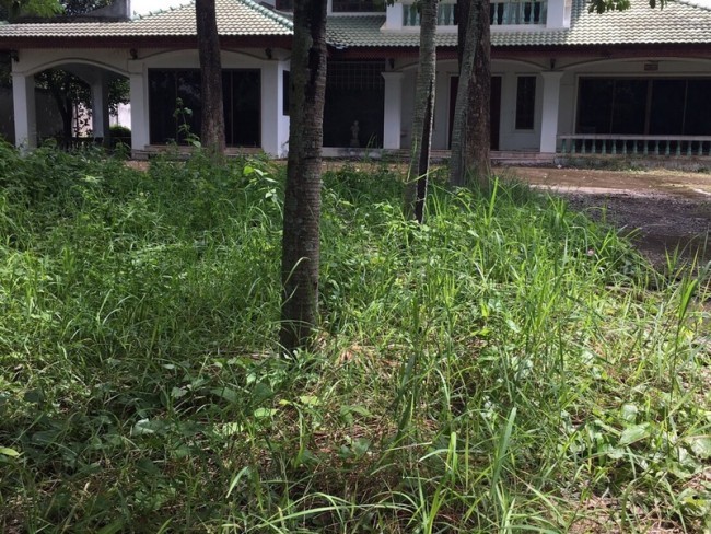6 Bedroom House For Sale in Saraphi, Saraphi, Chiang Mai - Image 5