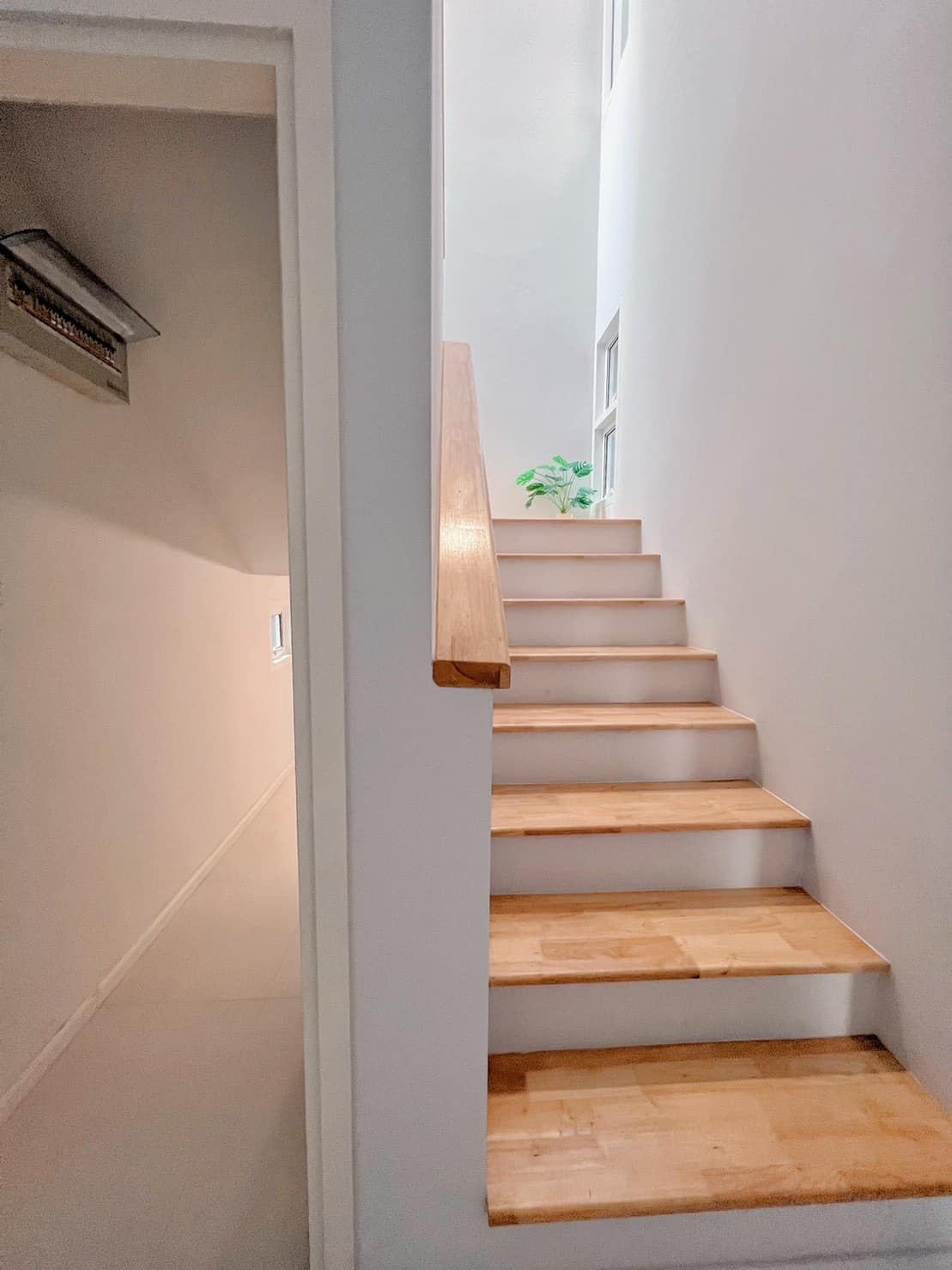3 Bedroom House For Sale in San Phisuea, Mueang Chiang Mai, Chiang Mai - Image 5