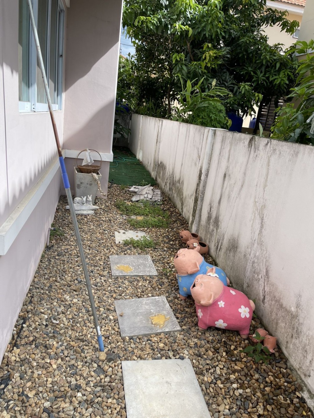 Rinrada 3 - Image 22