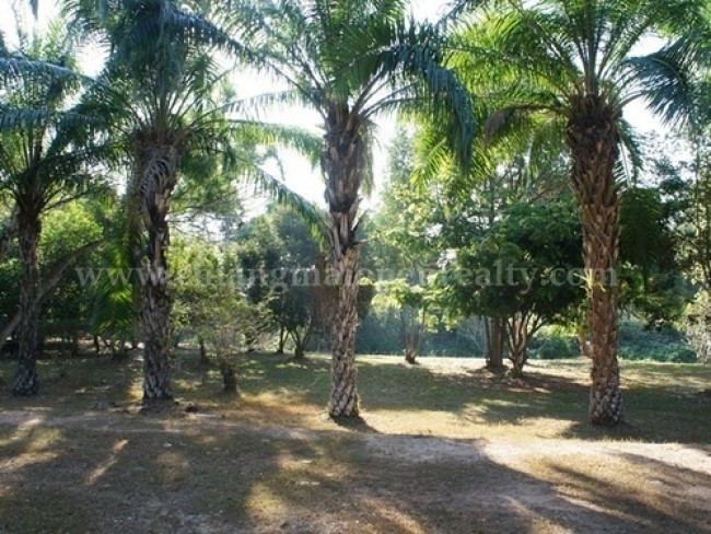  Land For Sale in Choeng Doi, Doi Saket, Chiang Mai - Image 5