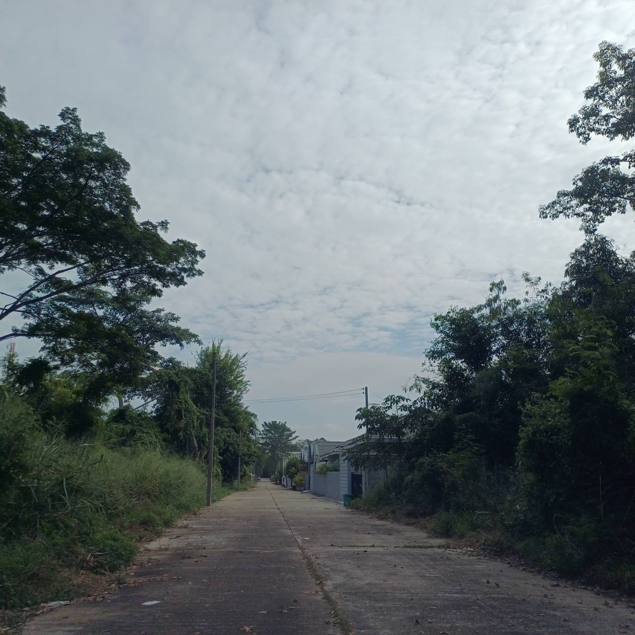  Land For Sale in Pa Phai, San Sai, Chiang Mai - Image 2