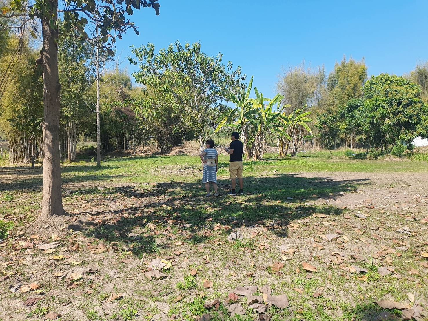  Land For Sale in Nong Han, San Sai, Chiang Mai - Image 4