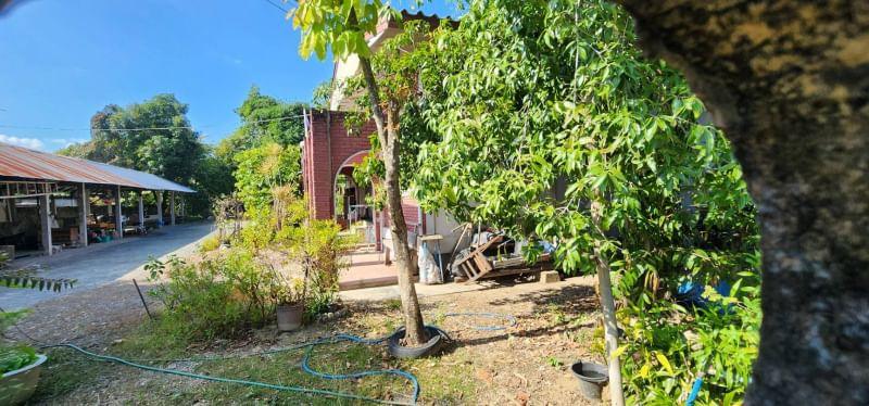 2 Bedroom House For Sale in Si Phum, Mueang Chiang Mai, Chiang Mai - Image 8