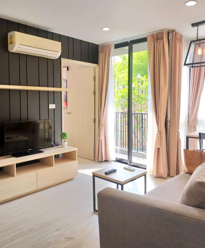 Palm Springs Areca - Image 1