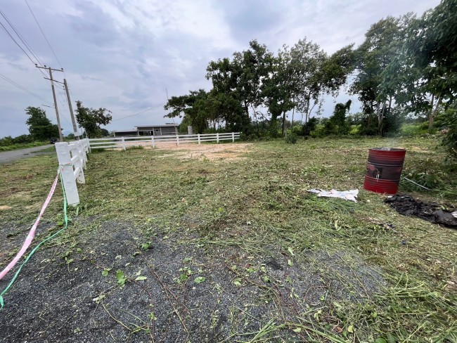  Land For Sale in Tha Sala, Mueang Chiang Mai, Chiang Mai - Image 3