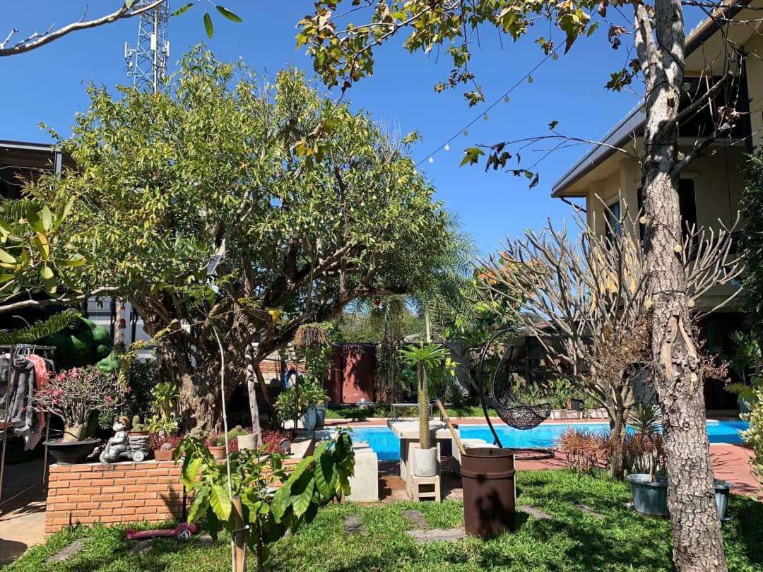 4 Bedroom House For Sale in Chang Phueak, Mueang Chiang Mai, Chiang Mai - Image 14