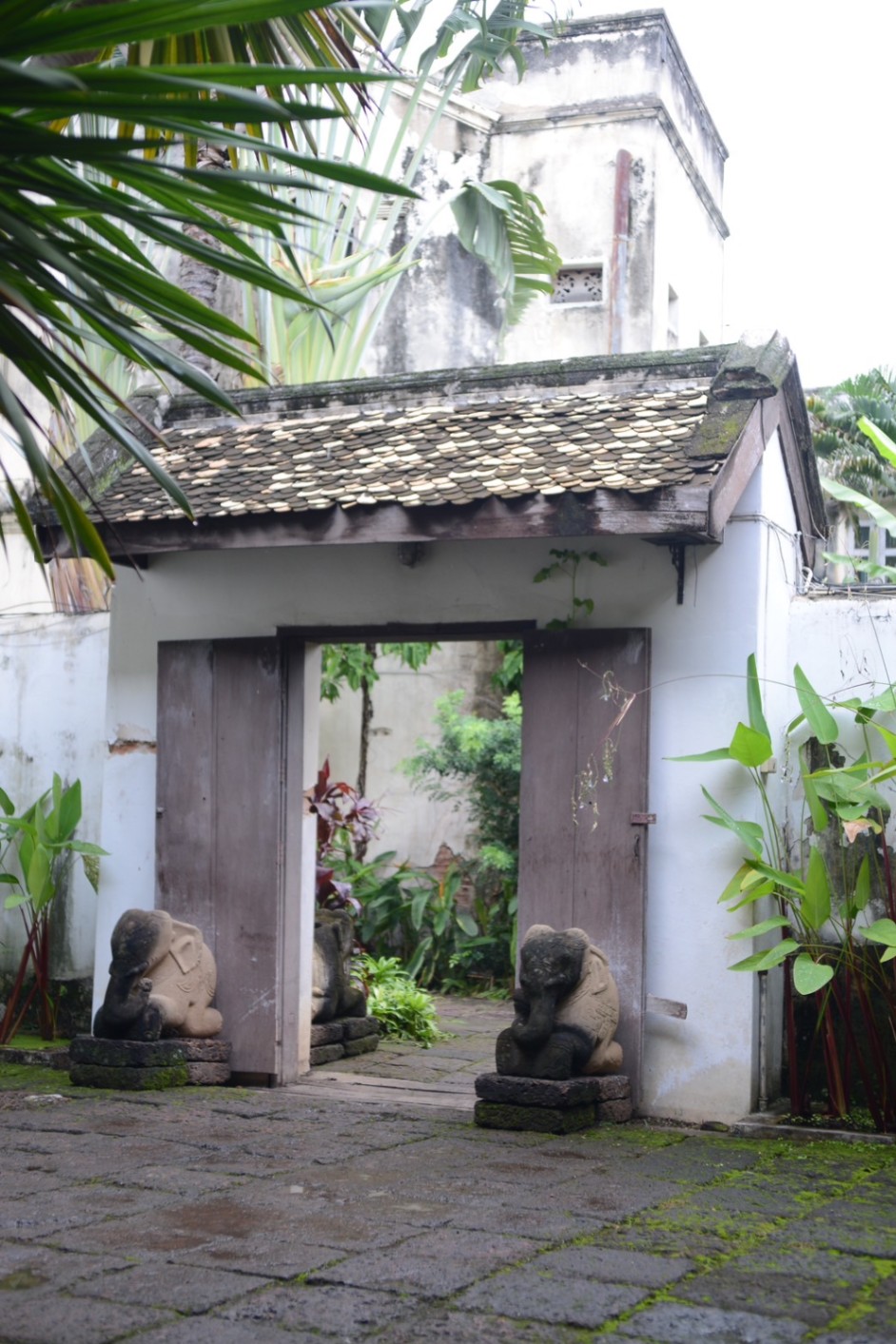  Retail Space For Sale in Wat Ket, Mueang Chiang Mai, Chiang Mai - Image 5