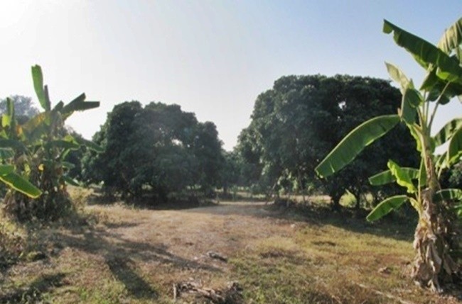  Land For Sale in Mae Raem, Mae Rim, Chiang Mai - Image 2