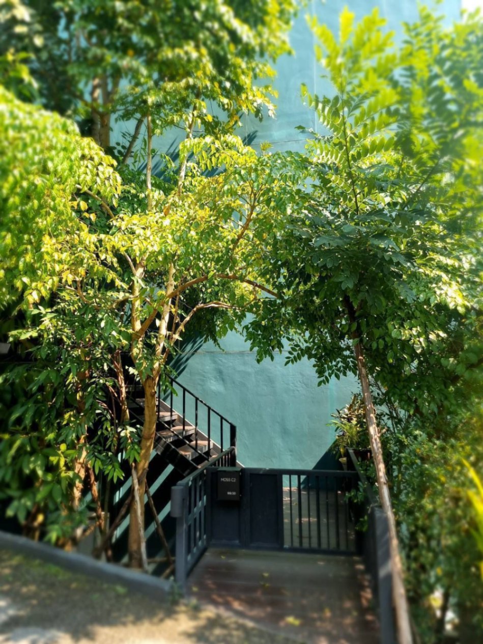 Cayla Residence - Image 15