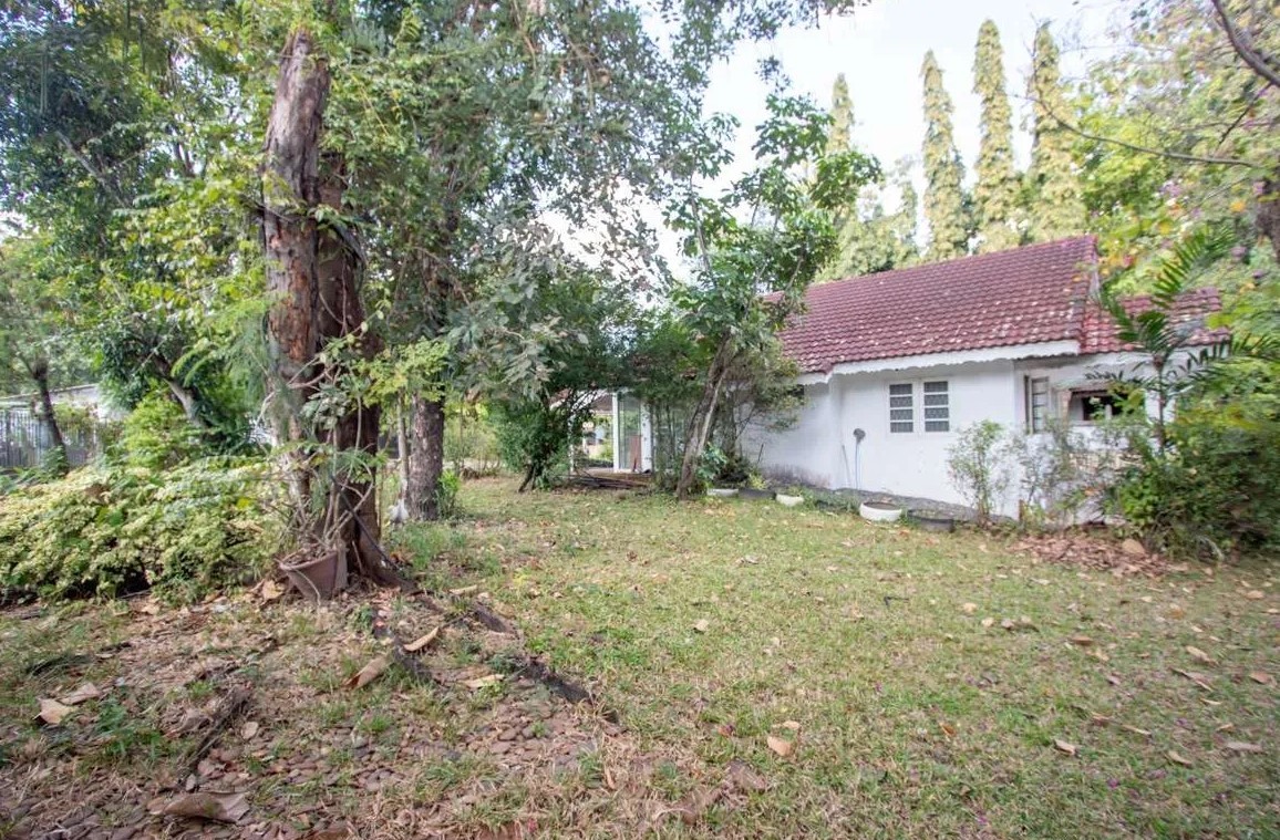  Land For Sale in Suthep, Mueang Chiang Mai, Chiang Mai - Image 4