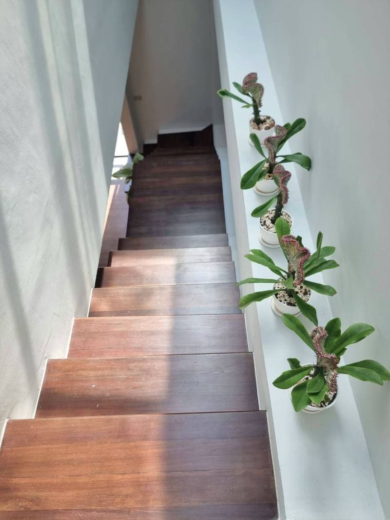 Cayla Residence - Image 10