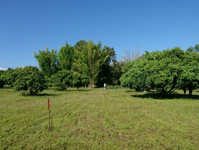  Land For Sale in Nam Phrae, Hang Dong, Chiang Mai - Image 1